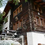 Birkhahn Saas Fee