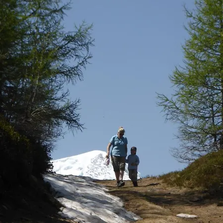 Birkhahn Alpesi faház Saas Fee