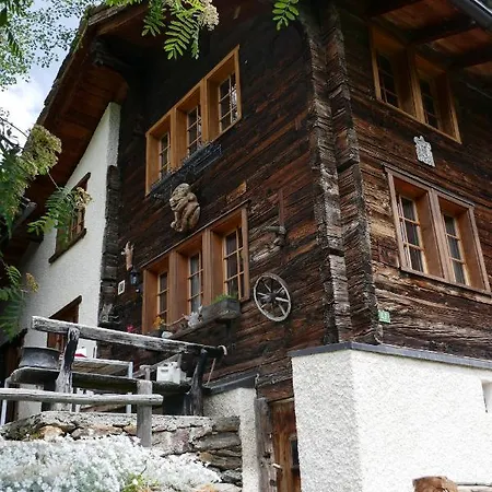 Birkhahn Saas Fee