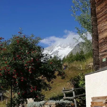 Birkhahn 샬레 Saas Fee