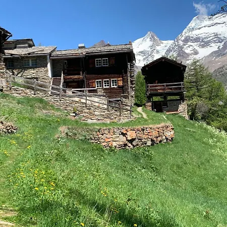 Birkhahn * Saas Fee