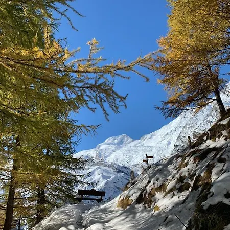 샬레 Birkhahn Saas Fee