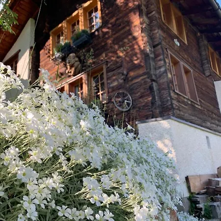Chalet Birkhahn Saas-Fee