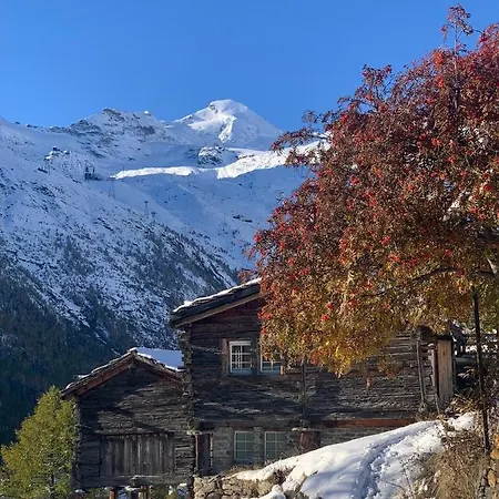 Birkhahn Alpesi faház Saas Fee