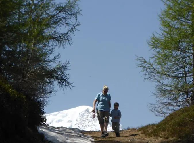 Birkhahn Domek alpejski Saas-Fee