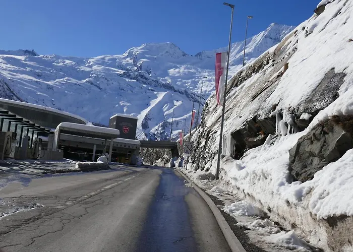 Birkhahn Domek alpejski