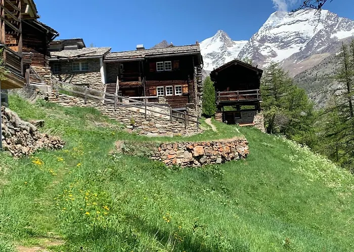 Birkhahn * Saas-Fee