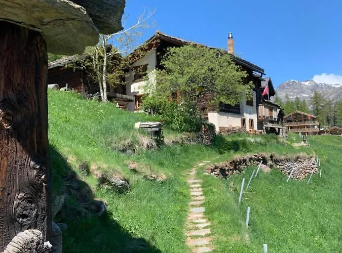 Domek alpejski Birkhahn *