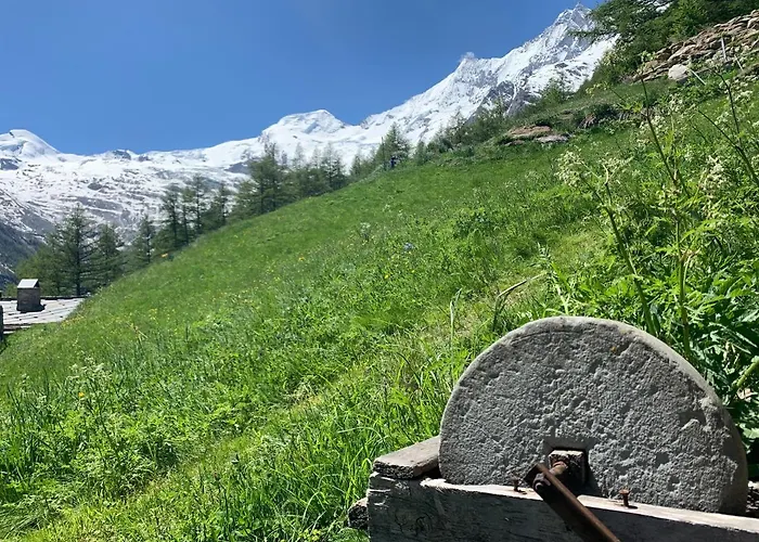 Domek alpejski Birkhahn *