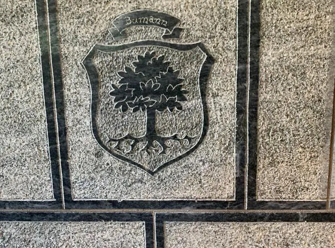 Birkhahn Domek alpejski