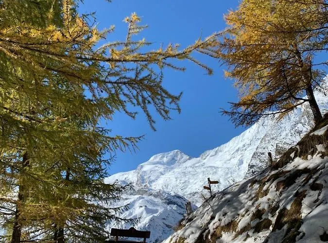 Domek alpejski Birkhahn Saas-Fee