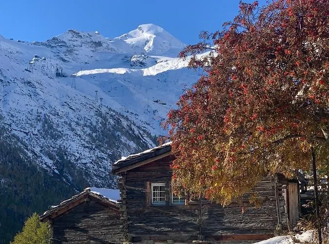Birkhahn Domek alpejski Saas-Fee