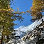 Chalet Châlet Birkhahn Saas-Fee