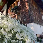 Chalet Châlet Birkhahn Saas-Fee