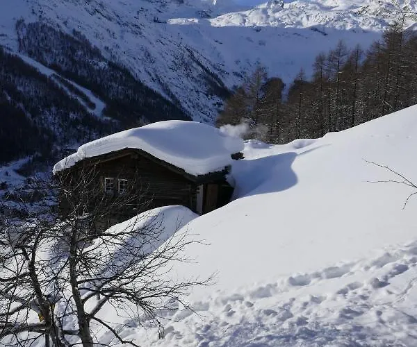 Birkhahn * Saas-Fee