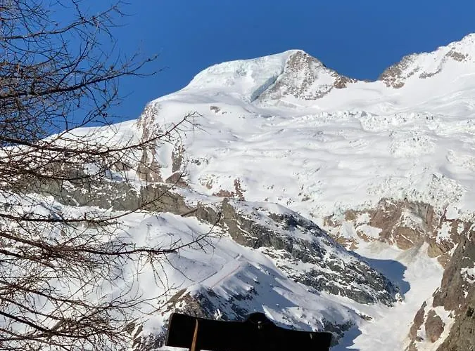 Birkhahn * Saas-Fee