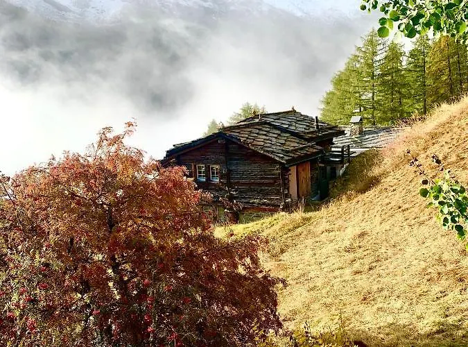 Chalet Birkhahn