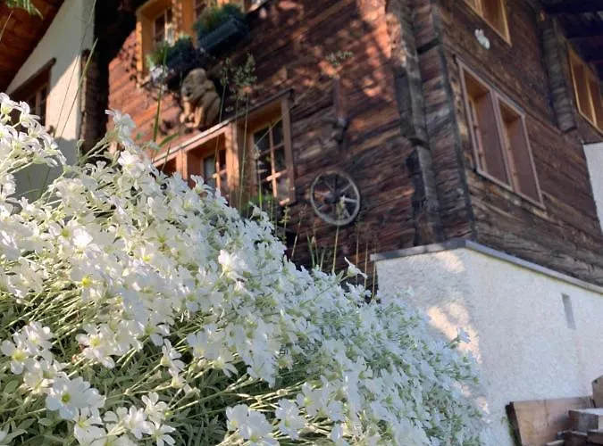 Chalet Birkhahn Saas-Fee