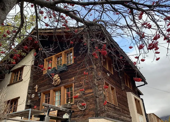 Birkhahn Saas-Fee